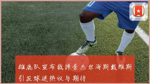 雄鹿队宣布裁掉奈杰尔海斯戴维斯引发球迷热议与期待