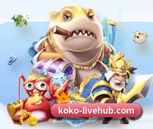 KOKO电竞的故事